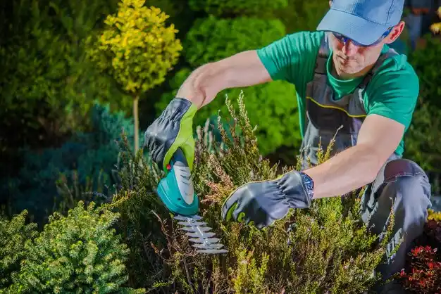 landscaping services Puxico